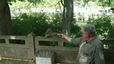 Zoom in quirrel-feeding.JPG